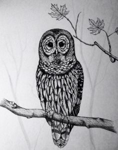 10171615_1461951387373188_6892547554870510195_n